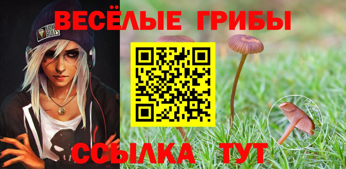 Галлюциногенные грибы прущие грибы  Вход с VPN  Заводоуковск 