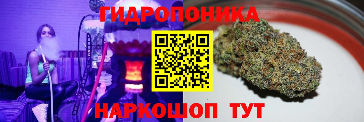 Марихуана тримм  Бошки марихуана планчик  Вход с VPN  Канабис конопля  Заводоуковск  Канабис White Widow 